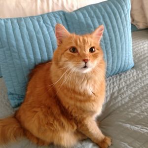 Meet your Posher, Kathleen